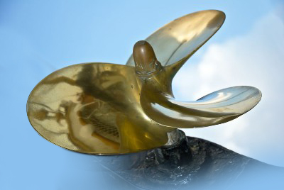 10462504_web